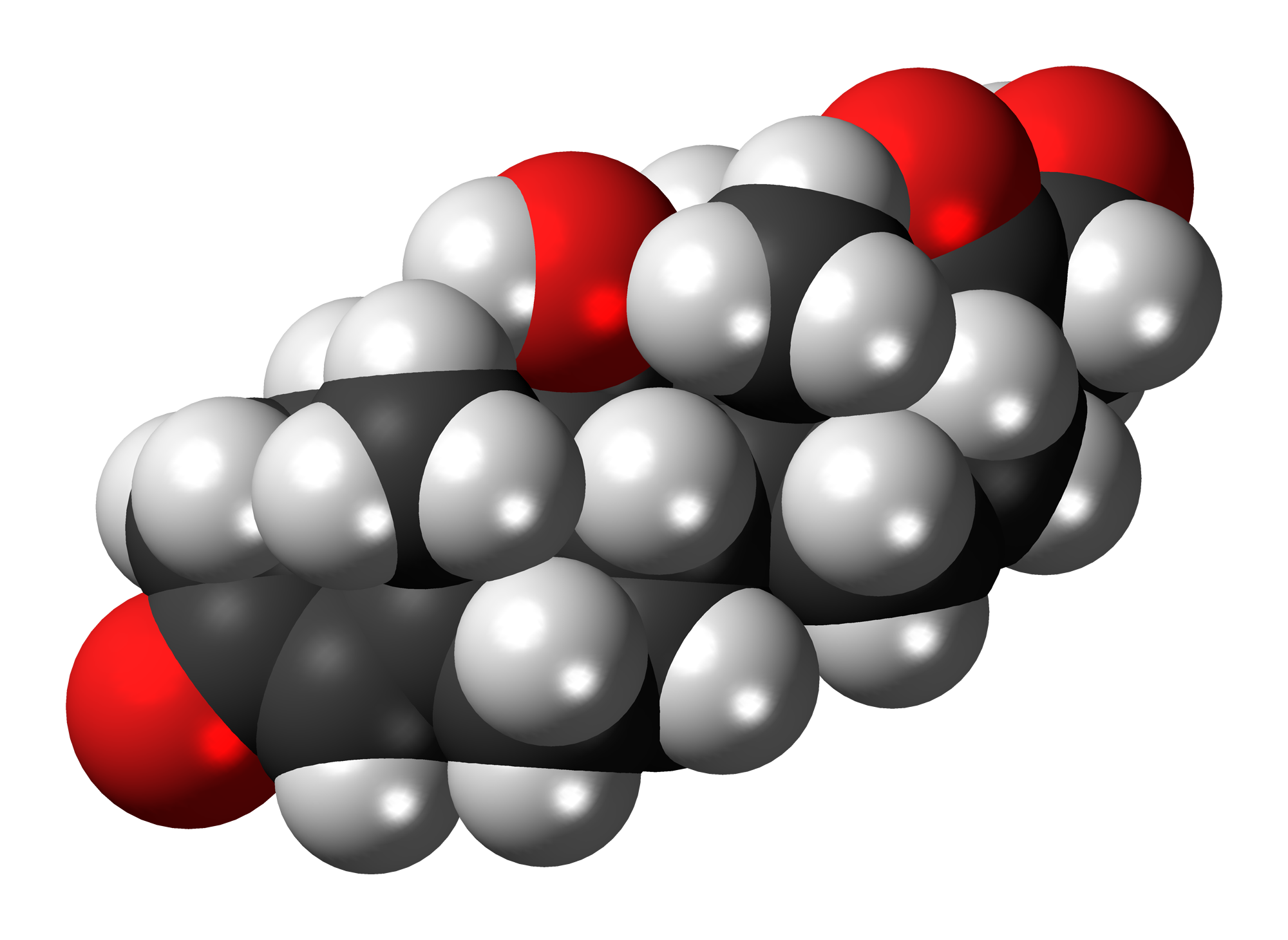 Cortisol-3D