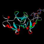Oxytocin-neurophysin