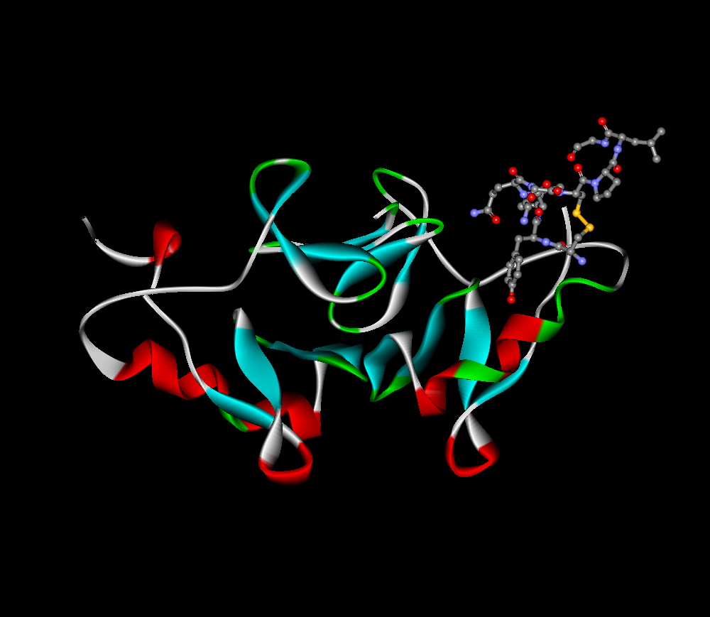 Oxytocin-neurophysin