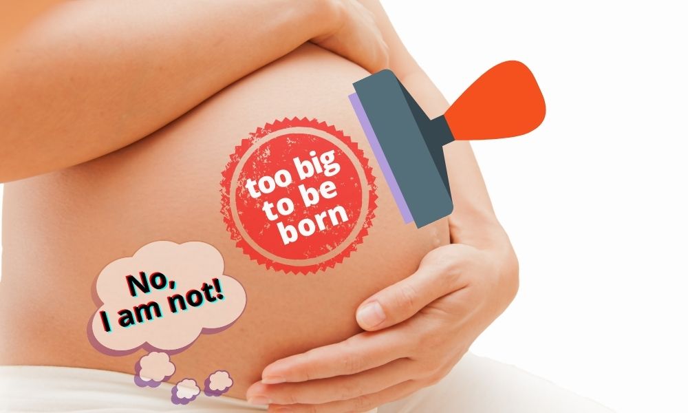 Copy of Copy of too big to be born___