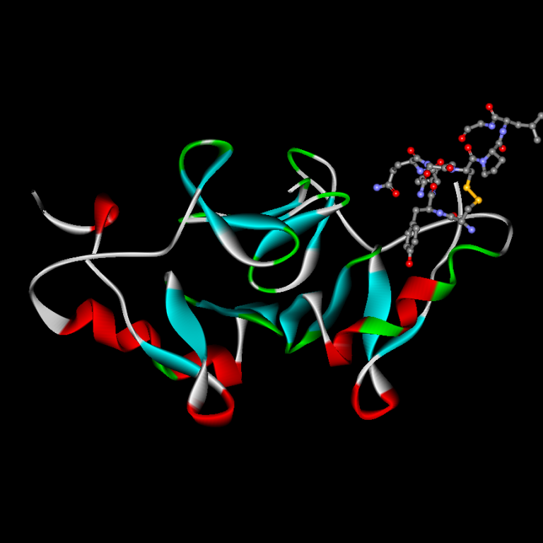 Oxytocin-neurophysin
